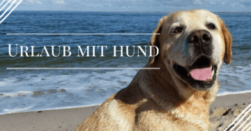 urlaub-machen-mit-hund